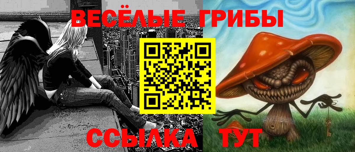 Псилоцибиновые грибы MAGIC MUSHROOMS Сегежа